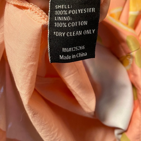 ModCloth Anthropologie Dear Creatures Pink Lemon Print Dress - Picture 8 of 8